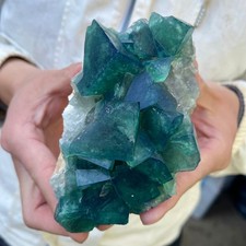 Grappolo di cristallo di fluorite verde naturale 1,5 libbre esemplare grezzo guarigione