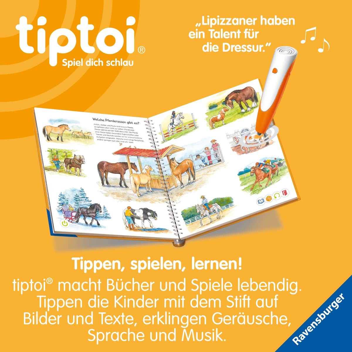 Bild 3 von 10