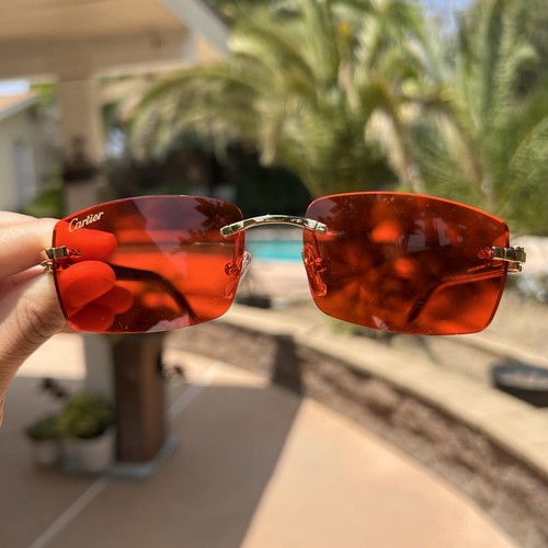 Cartier White Buffalo Horn Sunglasses 
