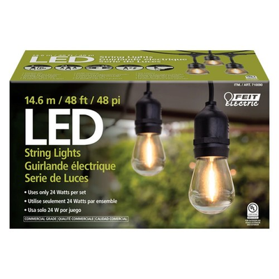 #ad Feit Electric 48 ft. LED string lights $24.99