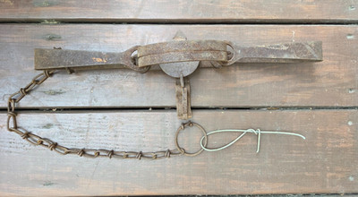 Vtg Oneida Victor #3 Double Long Spring Beaver & Otter Trap Rustic Decor Cabin
