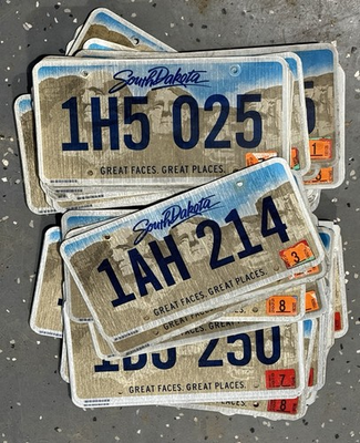 #ad 100 Expired Flat South Dakota License plates. Craft Grade See Description $129.00