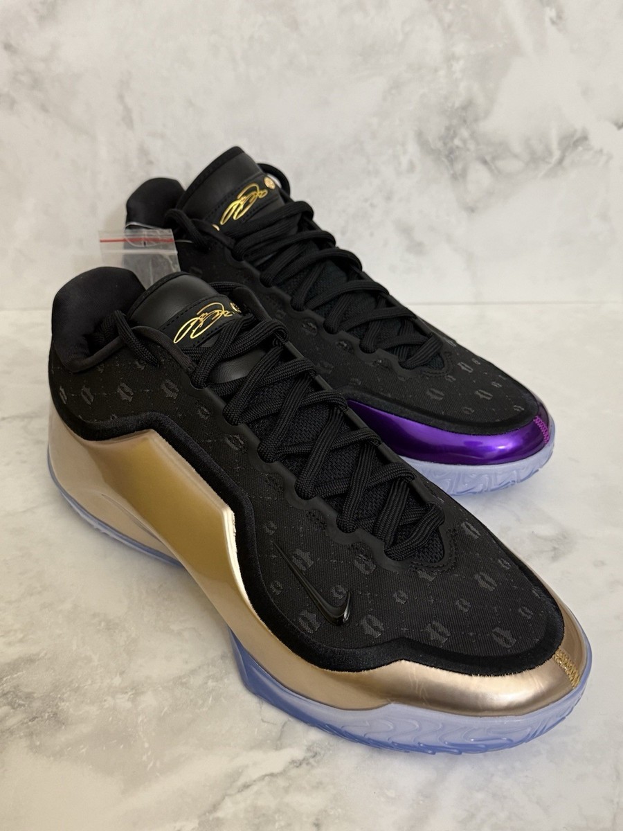 Nike LeBron 23 XXIII Lux The Chosen One And The One Who Chose