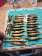 Nos Renosky Rubber Swimbaits 25 Total Good Color