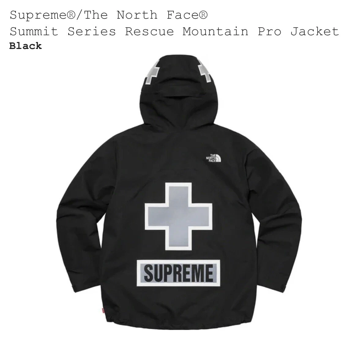 Supreme® x The North Face® Summit Series Rescue Mountain Pro