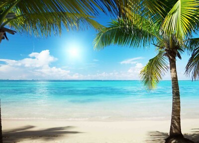 3D Beach Palm Tree Sun Landscape Self-adhesive Removeable Wallpaper Wall Mural1