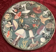 Vintage Springbok Jigsaw Puzzle "The Mushroom" by Booth Courtenay MISSING PIECES