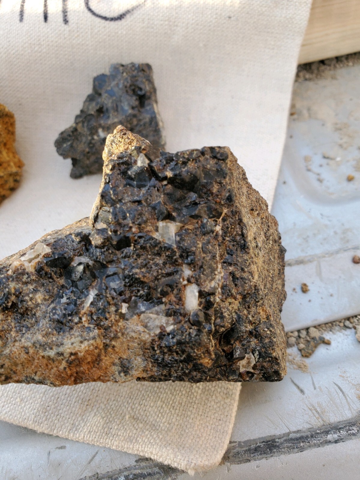 Steiner Mine near Lovelock Nevada Silver Gold Mining Claim with Big