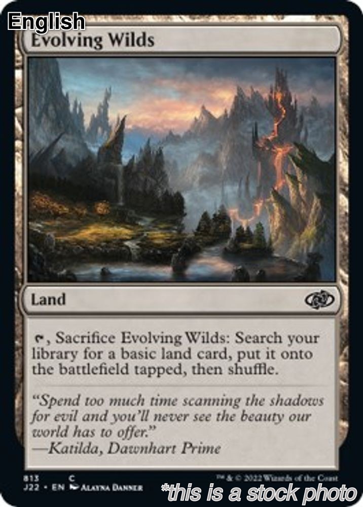 Evolving Wilds [J22 - 813MagicNMCommonEN