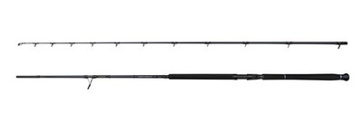 Savage Gear Defiance Sg2 Shore Jig 2.90M/20-80G 2P - Meeresrute, Spinnrute, Rute
