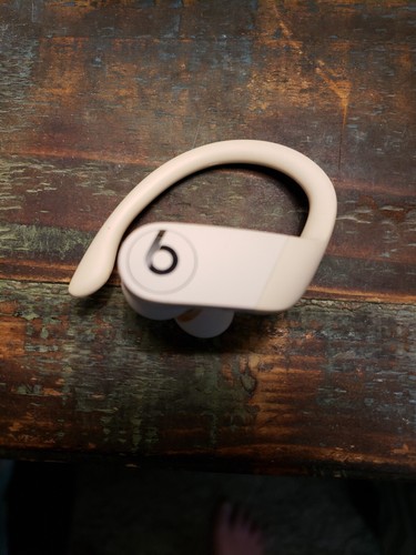 Beats Powerbeats Pro Wireless Earbuds - Charging Case + Aduro Lightning Cable - Picture 5 of 5