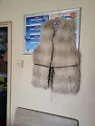 Picture 5 of 21