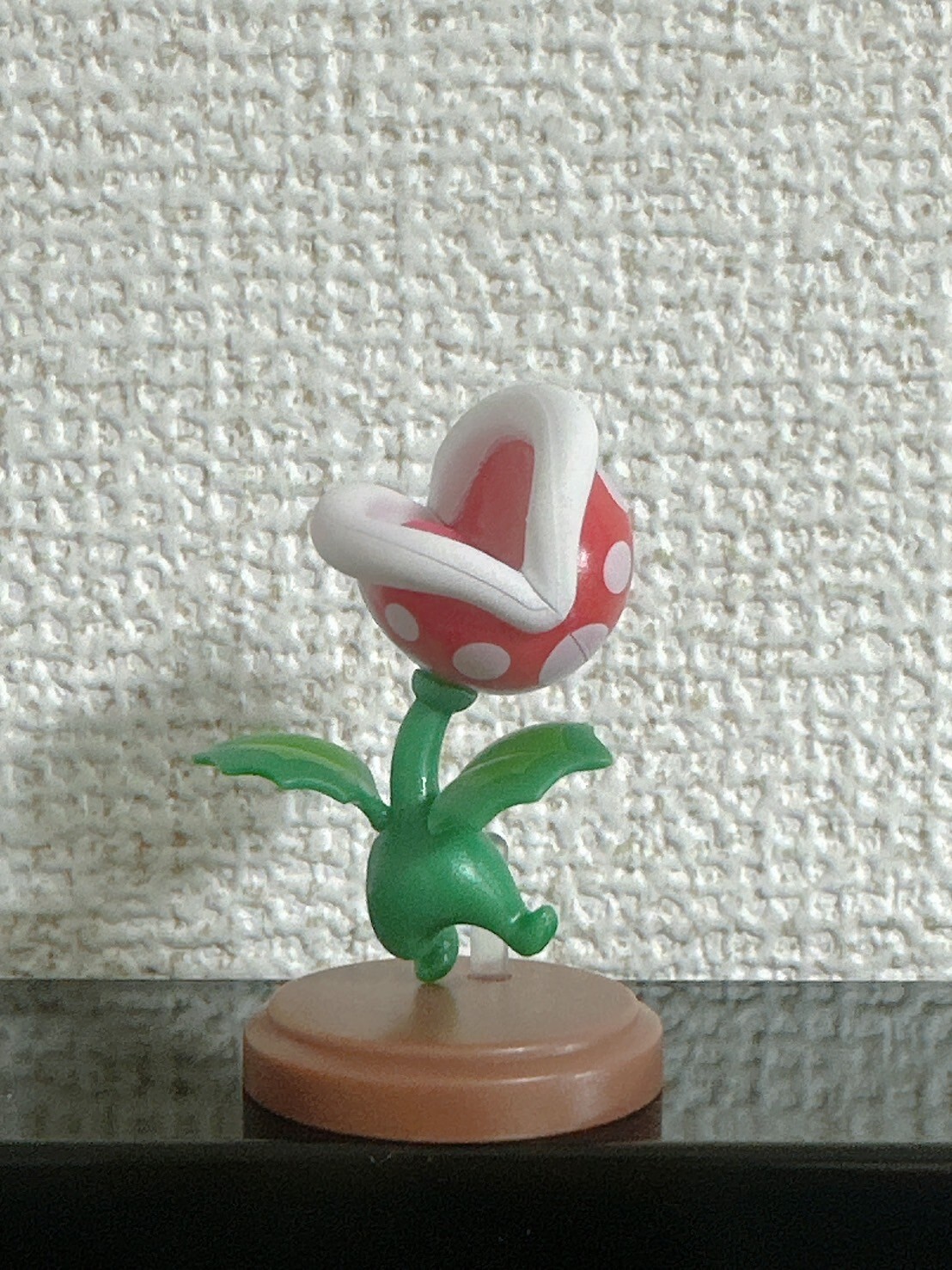 Picture 19 of 21