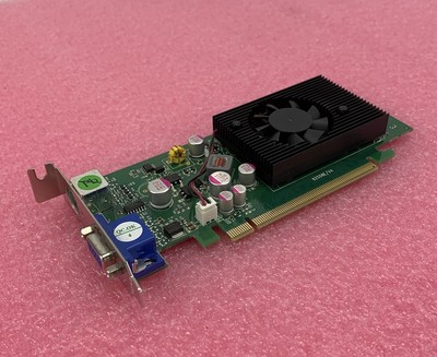 Jaton Corp. Video-PX558-Twin Nvidia Geforce 8400 GS GPU