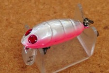 Nories Crankin  Pupa Shallow       (B121O3