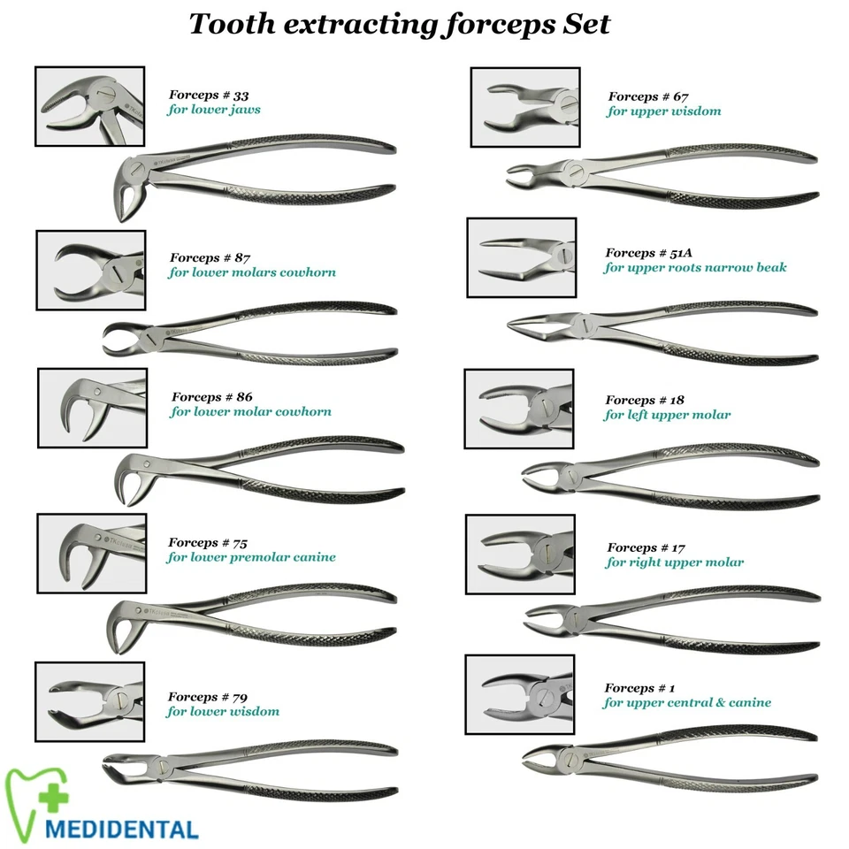 TK PLUS SURGICAL Range Of Dental Tooth Extracting Forceps Kit For Upper & Lower Molar CE