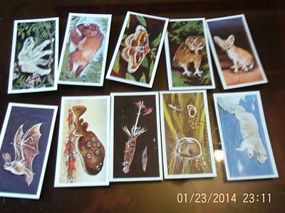 Brooke bond tea cards wonders of wildlife x 10
