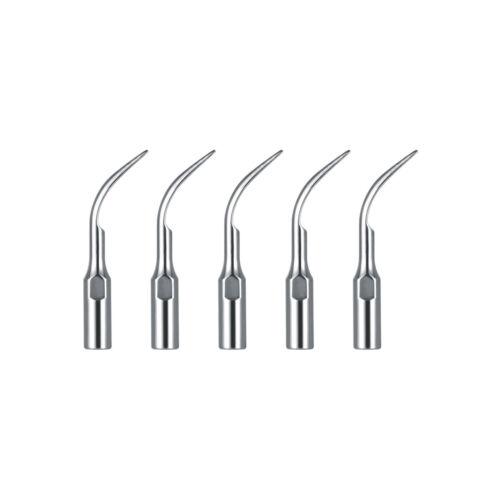 10 Pcs Dental Scaling Tip Ultrasonic Scaler Perio GD1 For DTE/SATELEC Handpiece - 第 1/6 張圖片