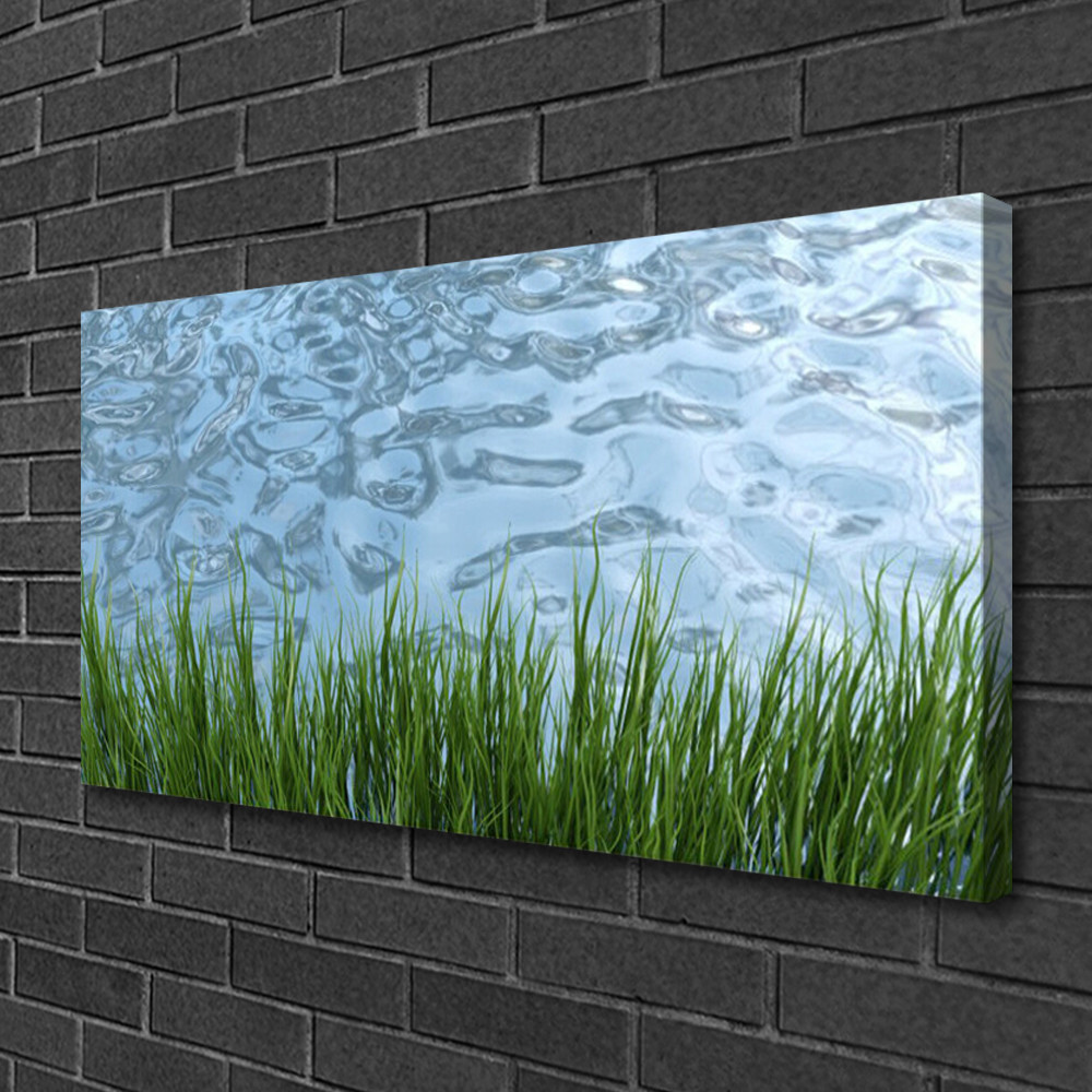 Photo sur toile nature de 100x50 cm avec impression de paysage d'eau et herbe