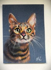 Cat Bengal Katze Zeichnung von der Künstlerin, Original Pastell. 