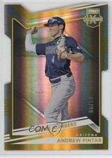 2022 Panini Elite Extra Edition Prime Numbers Gold Die-Cut /10 Andrew Pintar 9pa