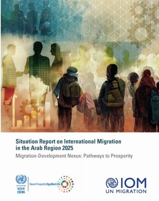 Situation Report on International Migration in t by United Nations PAPERBACK