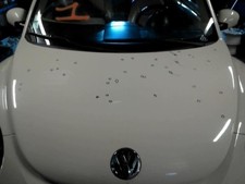 Capote Volkswagen NEW BEETLE