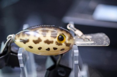 arbo-gaster fishing lure Fishing Lures Fred Meyer Fishing