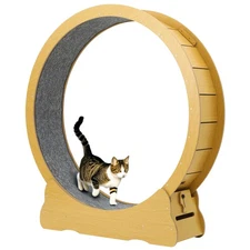 TOYANDONA Cat Exercise Wheel Density Board Cat Treadmill Running Wheel Cat Toy