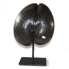 Original Antique Old Rare Double Coco De Mer Seychelles Natural Coconut Nut Seed