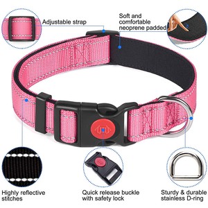 durable dog collar
