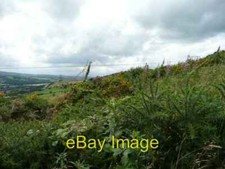 Photo 6x4 Gorse and Rose Bay Willow Herb on Hunshelf