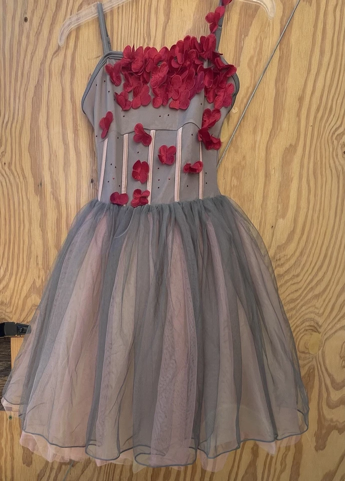 Fantasias Curtain Call rosa e cinza Thule vestido princesa bailarina tamanho ASM 11-12 - Imagem 2 de 4