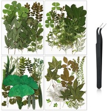 Nuanchu Dried Leaves Bulk Greenery Pressed Leaves for Crafts Resin Mold Scrap...