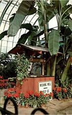 WISHING WELL, BIRMINGHAM BOTANICAL GARDENS, Birmingham, Alabama Postcard