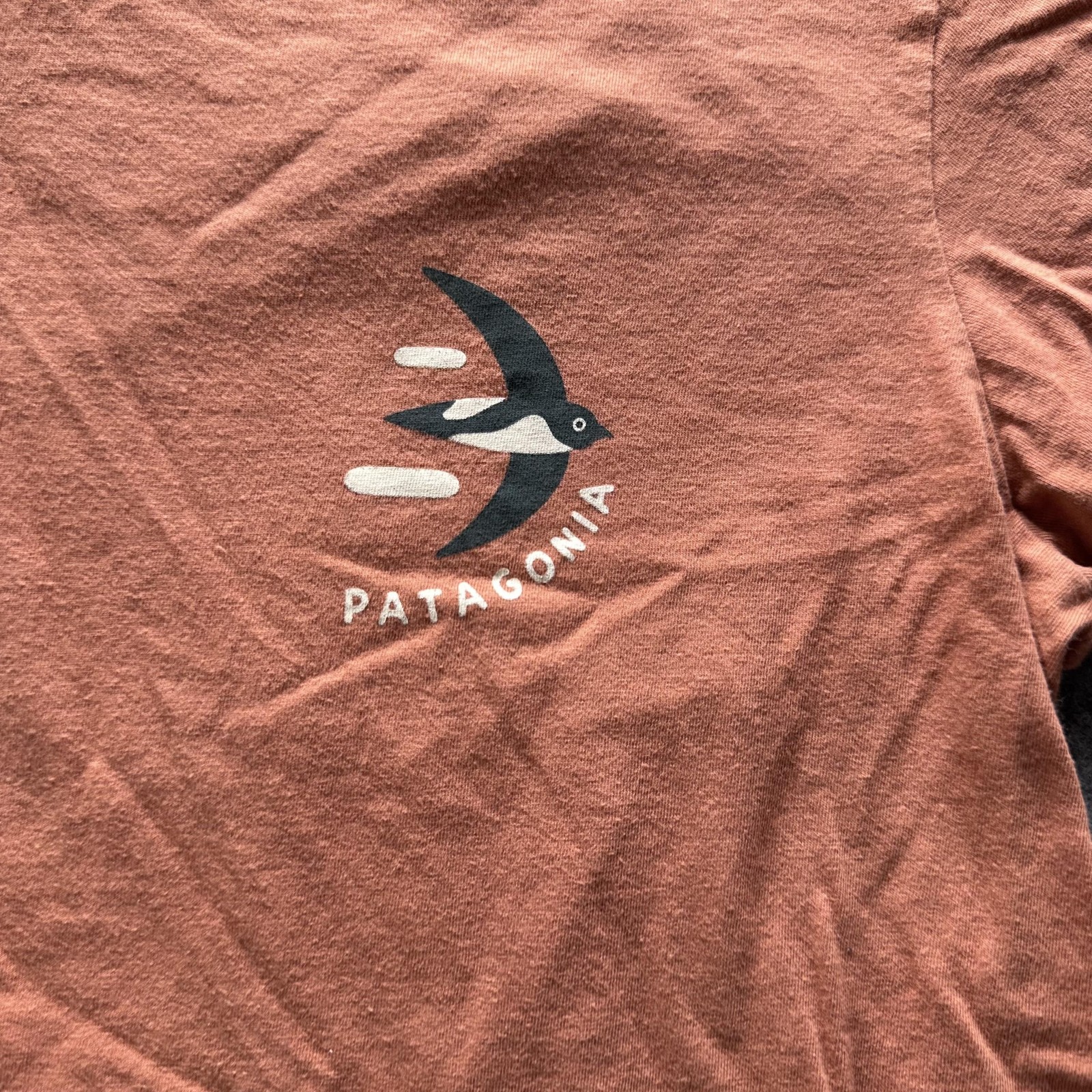 Patagonia Shirt Mens Medium Brown Graphic Logo Tee Crewneck Outdoor Casual thumbnail 2