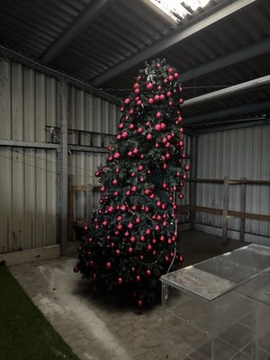 Weihnachtsbaum VIP Geschmückt LED Beleuchtung