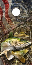 Walleye Fish Flag Camo LAMINATED Cornhole Wrap Bag Toss Skin Decal Sticker