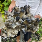 Bild 6 von 8
