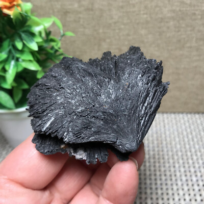 94g black tourmaline rutilated uncut quartz crystal mineral specimen  mt1040