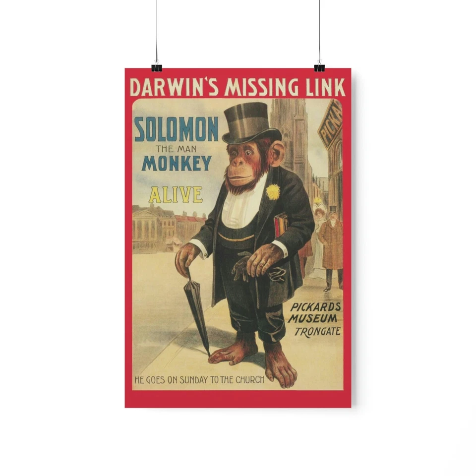 Solomon the Man Monkey, Vintage Poster, Darwin, Evolution, Wall Art Print - Image 3 of 4