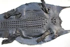Genuine CROC Leather Hide Exotic Pelt Black taxidermy Craft