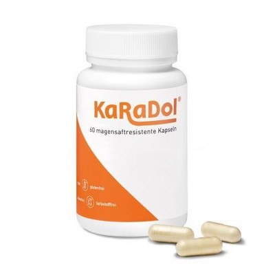 KARADOL magensaftresistente Kapseln 60 ST PZN 19334614