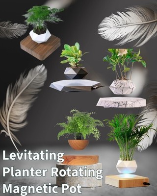 Levitating Plant Pot - Floating Rotating Magnetic For Small Plants - Home/Office