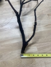 Red Skin Manzanita Wood, Driftwood, Reptile Tank Decor, Aquarium, Terrarium