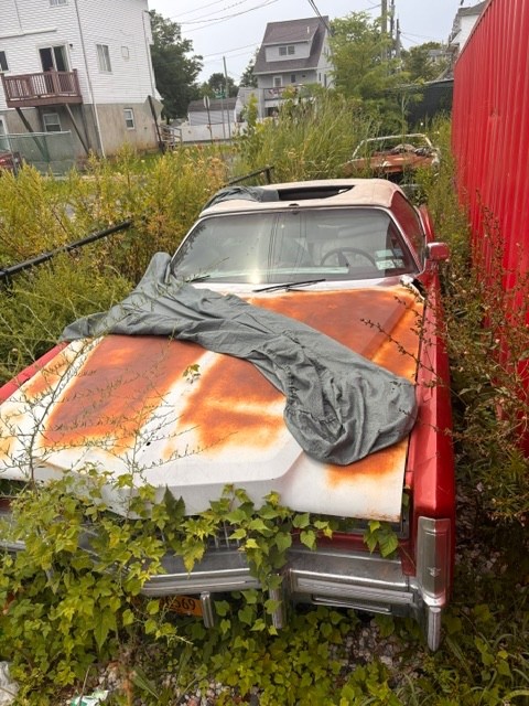 1975 Cadillac Eldorado for sale in Staten Island New York