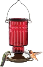 Hanging Glass Hummingbird Feeder for Outdoor Decor, 22 Ounce Capacity Nectar Fee