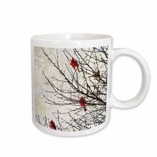 3dRose Cardinals Photographed by Angelandspot Mug