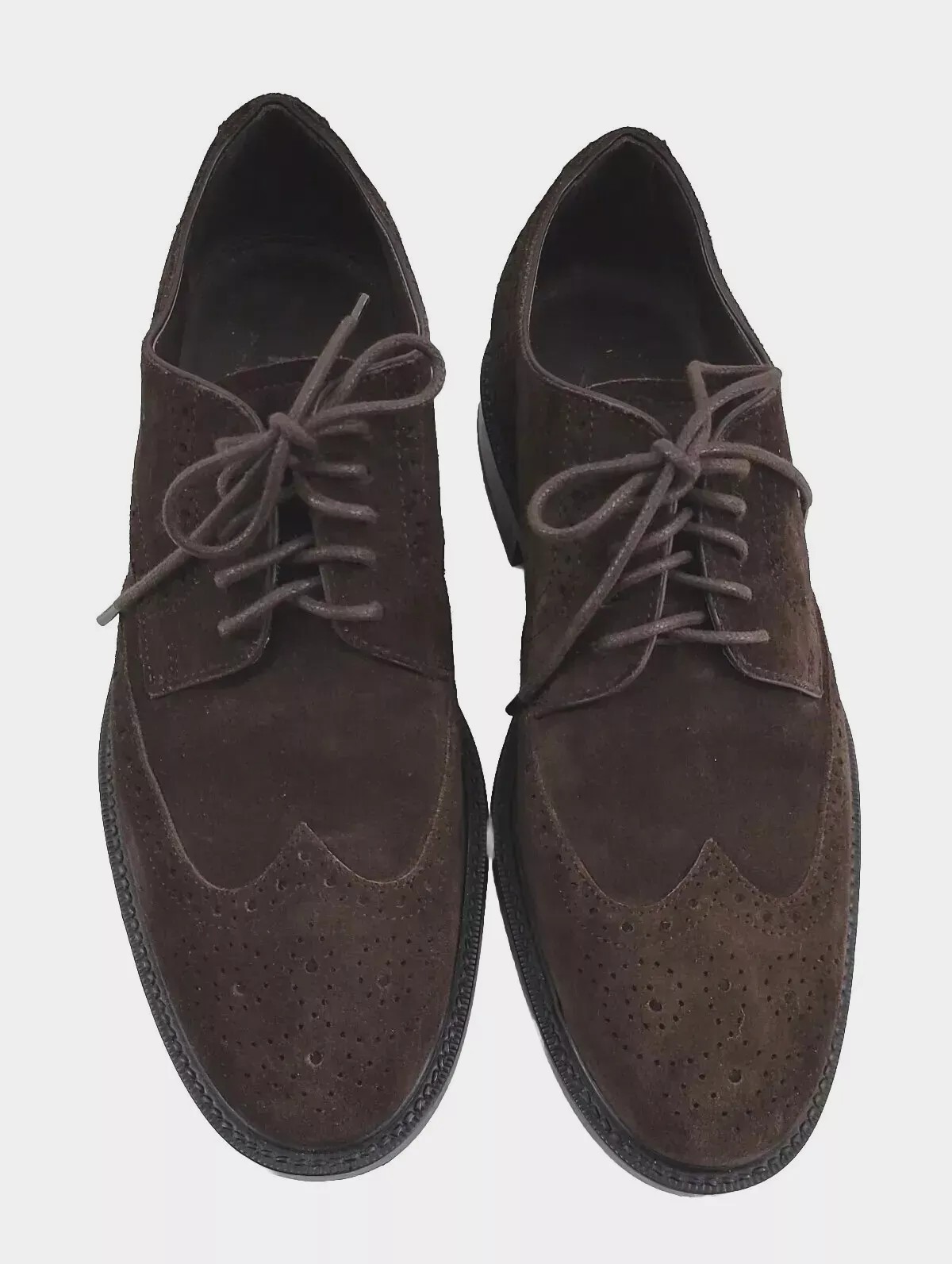 SAOLA Scarpe derby TOD’S da uomo in camoscio marrone scuro con lacci alare Brogue US 6 5 da uomo