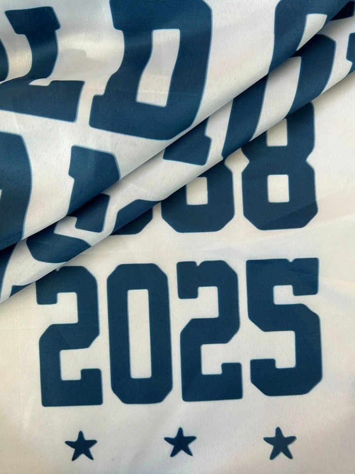 Los Angeles Dodgers 2025 World Series Champions 3x5 Ft Flag Ready To Ship CA - Image 3 of 4